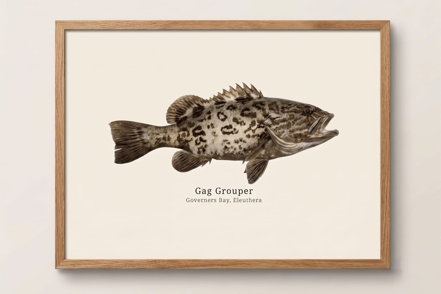 Gag grouper print on a wall